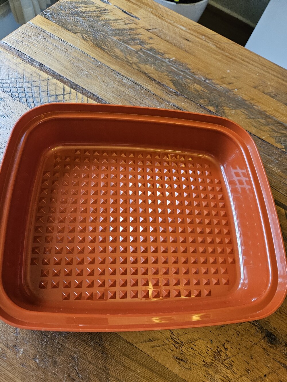 Vintage Tupperware Marinating Container - Picture 2 of 6